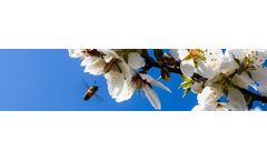 Biofeed is Chemical Free for Bees
