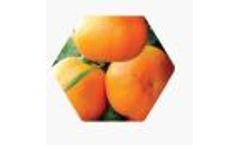 Model Gatit RC - Reduced Chloride fertilizer