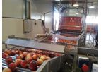 Eshet Eilon - Infeed & Dumper Systems
