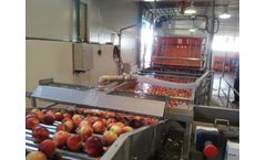 Eshet Eilon - Infeed & Dumper Systems