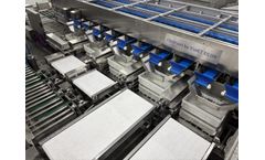 Eshet Eilon ChickSort - AI-Powered Day-Old Chick Sorting System