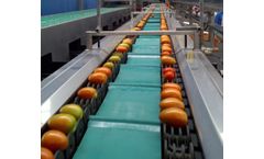Eshet Eilon - Speedy Roll for Fruit Sorter