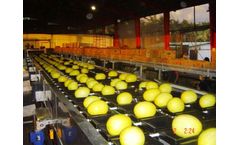 Eshet Eilon UniCup - Model 245 - Premier Melon Sorter