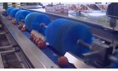 Eshet Eilon - Model 120mm - Speedy Cup for Gentle Pomegranate & Avocado Sorter