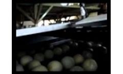 Eshet Eilon Melon Sizer Video
