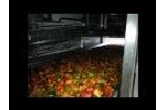 Mini Peppers High Speed Sizer Filler Video