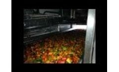Mini Peppers High Speed Sizer Filler Video