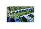 Etgar - Model Series 2000 - Bell Pepper
