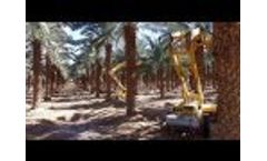 AFRON - Date picking machines Video