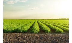 Micro-irrigation systems for open field