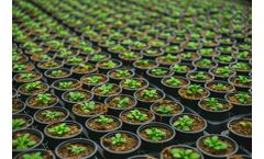 Micro-irrigation systems for nursery