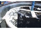 Ball - Model SR - Electrolysis Scale Remover