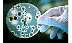 Indoor Air Quality (IAQ) Services