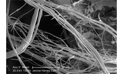 Asbestos Services