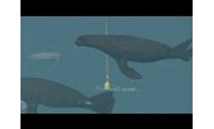 OTAQ SealFence; an ultrasonic solution to seal and sea lion attacks  - Video