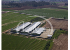 Broiler and Breeding Farms