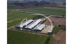 Broiler and Breeding Farms