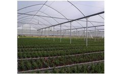 P-Marom - Closed Roof Green Houses