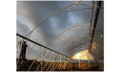 P-Marom - Roof Vent With Curtain Green Houses