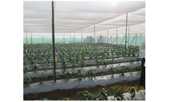 P-Marom - Net Covered Structure