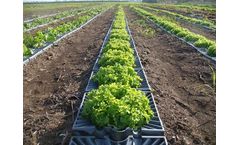 Tal-Ya trays - Personal Greenhouse System