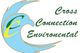 Cross Connection Environmental