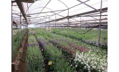 PhenomeOne - Breeding Process Management Module