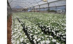 PhenomApp - Android Mobile App for Offline Data Collections Software