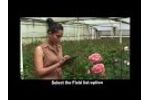 PhenomApp: Mobile Application for Plant Phenotypes Video