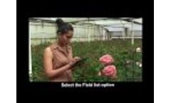 PhenomApp: Mobile Application for Plant Phenotypes Video