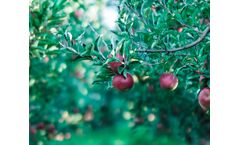 GPS guided solutions for horticulture industry