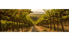 GPS guided solutions for viticulture industry
