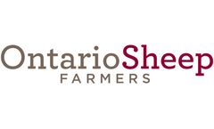 Canadian Verified Sheep Program