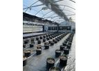 Carolina - Automated Hemp Greenhouse