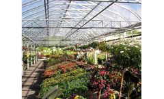 GGS - Curved Glass Greenhouses