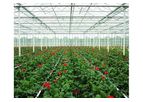GGS - Low Profile Venlo Greenhouses