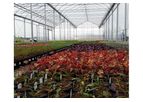 GGS - Gutter Connected Poly Greenhouses