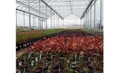 GGS - Gutter Connected Poly Greenhouses