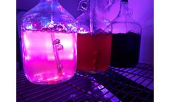 Light Intensity