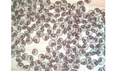 Unlocking Efficient Algae Production