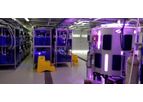 Algae in Research