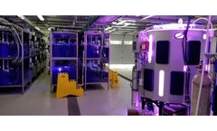 Algae in Research