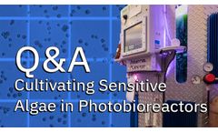 Cultivating Sensitive Algae in Photobioreactors
