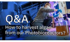 Flexible Algae Harvesting with Industrial Plankton Photobioreactors