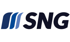 Sports Net Repair and Maintenance Services