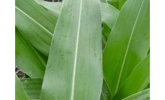 Alpine - Model CRN-B - Liquid Fertilizer