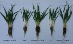 Alpine - Model G22 - Liquid Fertilizer