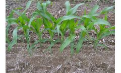 Alpine - Model G24 - Liquid Fertilizer