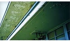 Asbestos and Lead Services