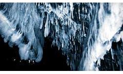 Indoor Air Quality and Mold Services